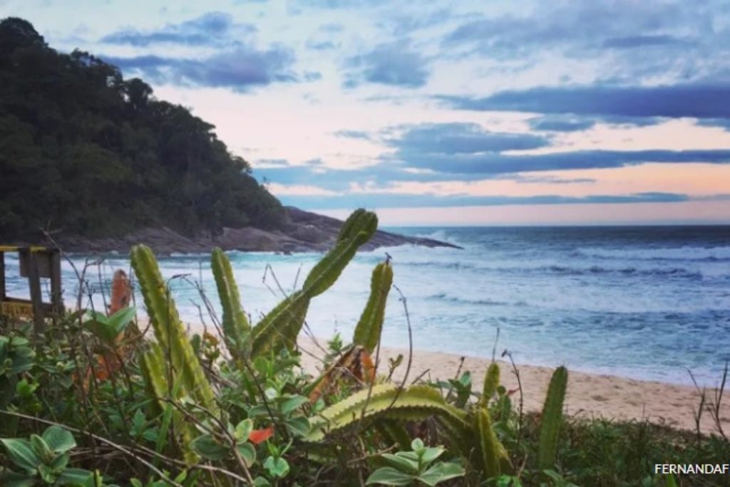 Juréia: A Praia ideal para quem busca um intenso contato com a Natureza