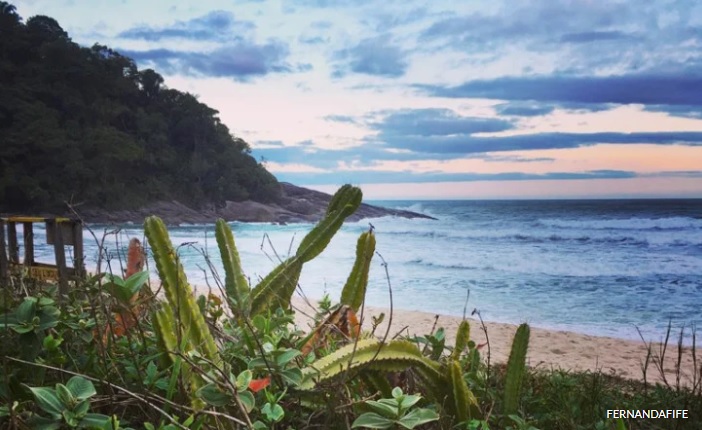 Juréia: A Praia ideal para quem busca um intenso contato com a Natureza