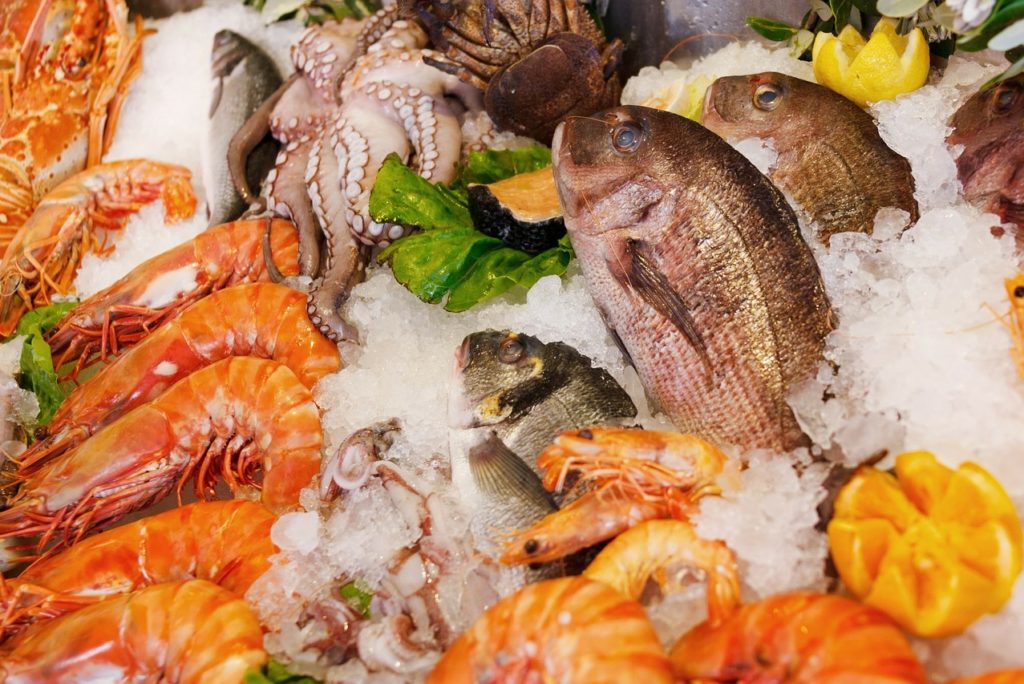 Peixes e Frutos do Mar: Saiba onde encontrar pescados frescos em São Sebastião