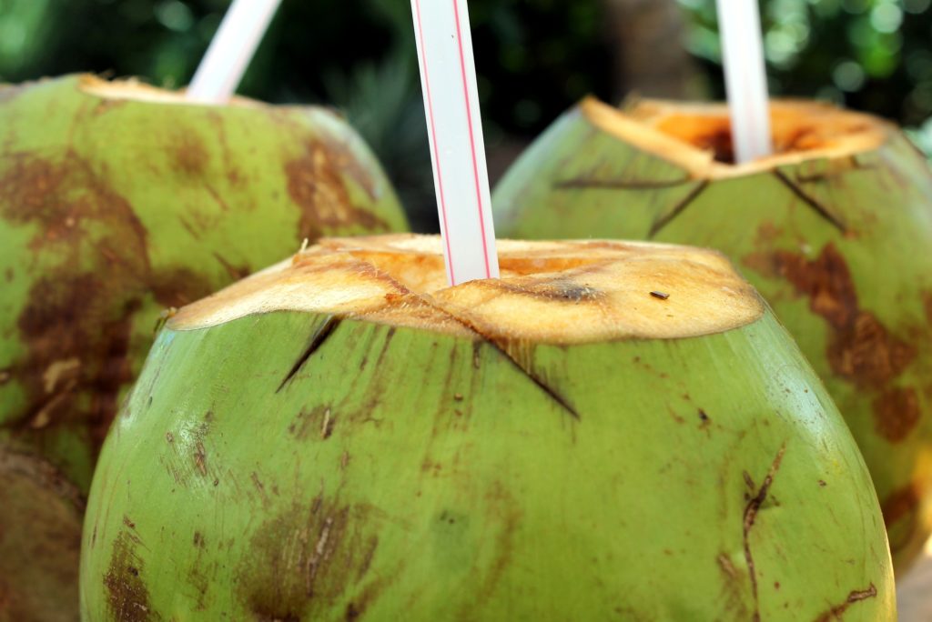 Água de coco:  Confira quais são os benefícios para a saúde e como encontrá-la nas praias