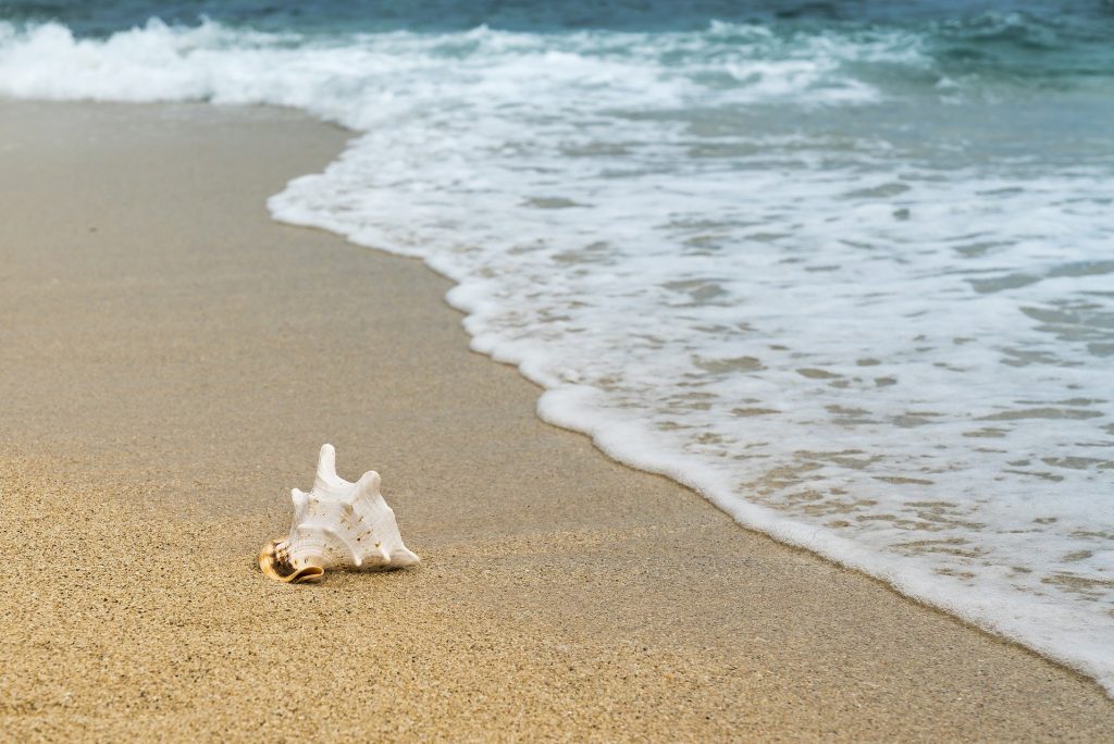 Você sabia que existem 5 tipos de praia? Descubra as características de cada uma