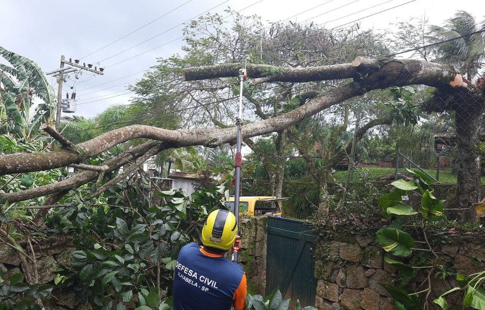 Chuva provoca 14 quedas de árvores em Ilhabela