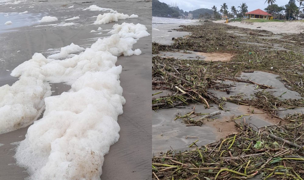‘Efeito liquidificador’ faz surgir espuma e vegetação em praia de SP e intriga moradores