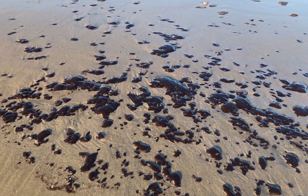 Litoral cearense tem 64 praias com manchas de óleo