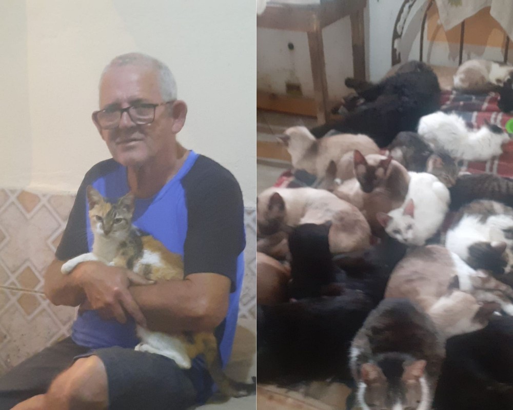 Por amor, padeiro concilia 5 empregos para sustentar 70 animais resgatados no litoral de SP: ‘Tudo tirado da rua’