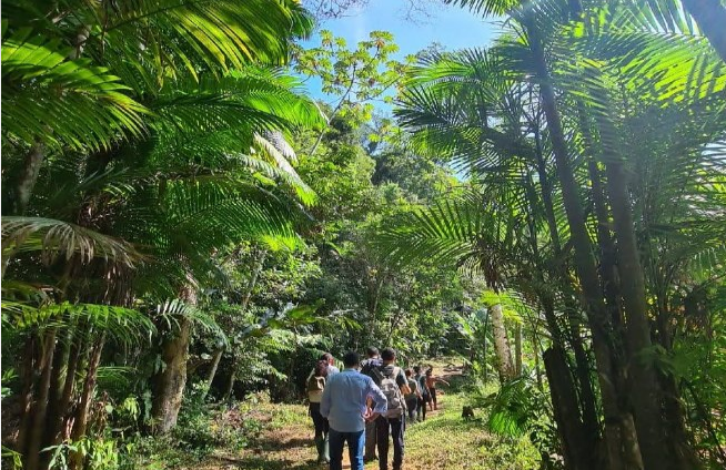 Prefeitura de São Sebastião planeja projeto sustentável de cultura de palmito para Comunidade Indígena Rio Silveiras