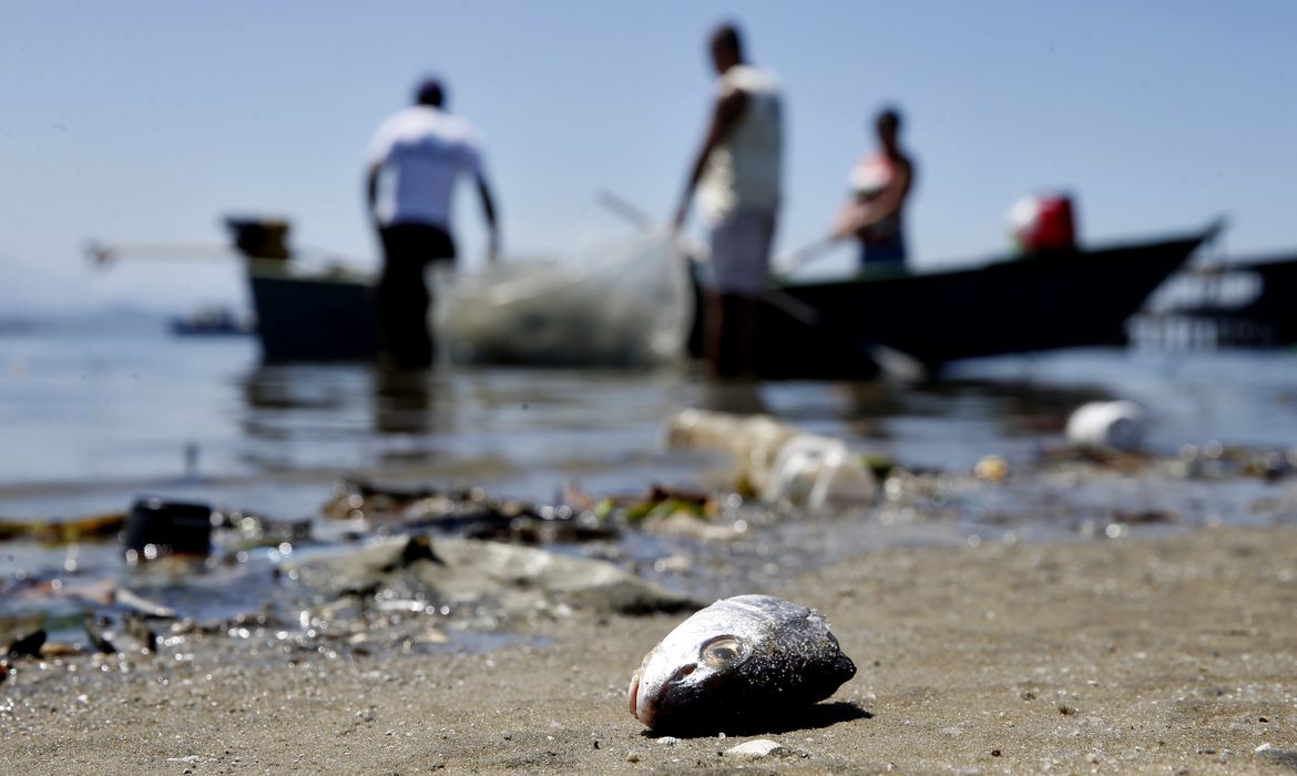 SP: projeto prevê pagamento a pescadores por coleta de lixo no mar