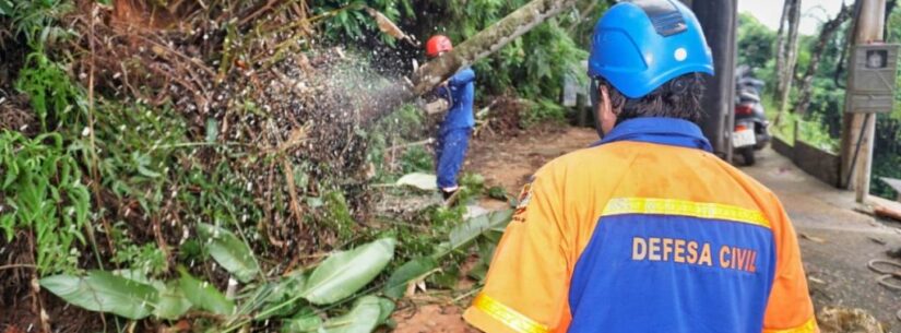 Após vendaval, Defesa Civil de Caraguatatuba vistoria quedas de árvores em 20 locais