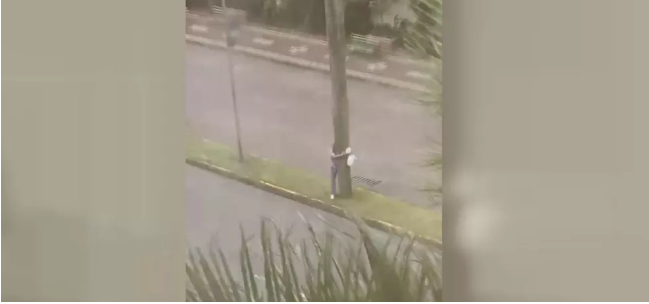 Homem se agarra em árvore para se proteger de ventania com rajadas de 91 km/h no litoral de SP; vídeo