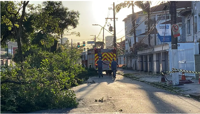 Árvore cai, interdita avenida e deixa moradores sem energia após ventania em Santos