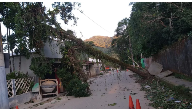 Ventos derrubam árvores e destelham casa com chegada da frente fria em Caraguatatuba e Ubatuba