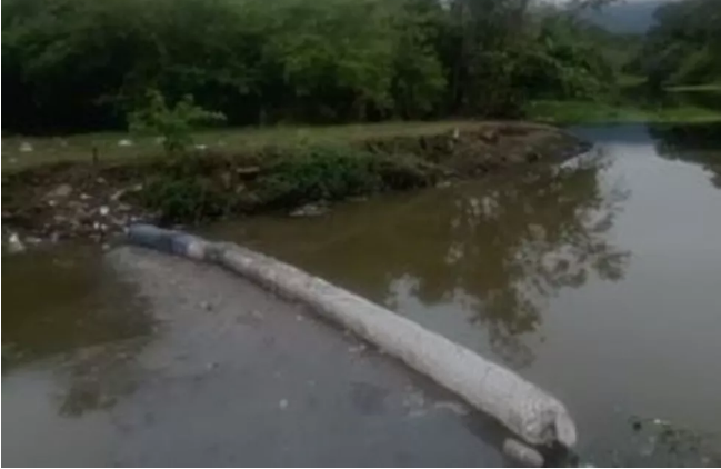 Homem cria barreira ecológica para retirar lixo de rio onde aprendeu a nadar na infância