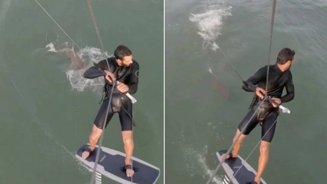 Kitesurfista é perseguido por tubarão: ‘Não é hora de cair’; vídeo