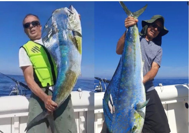 Dupla se emociona ao pescar peixes gigantes no litoral de SP