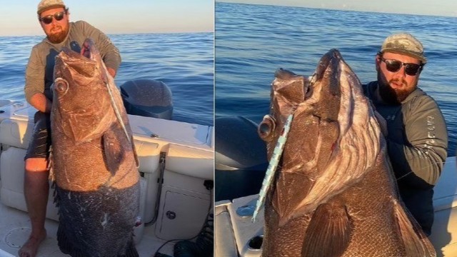 Pescador fisga peixe de 80kg e 1,75m de comprimento, na Austrália