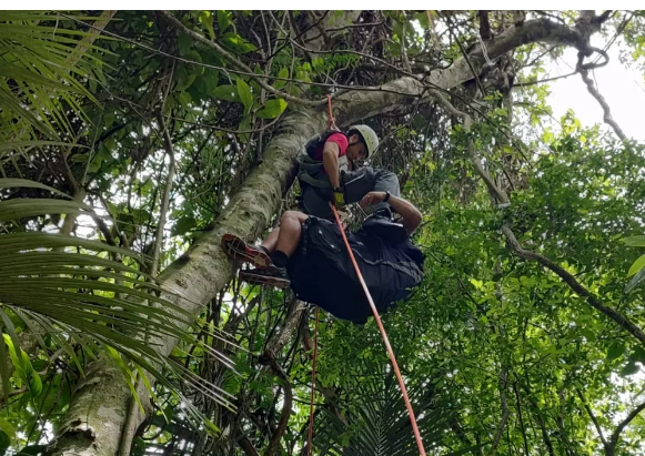 Homem é resgatado após saltar de paraglider e ficar preso em árvore em Caraguatatuba; veja vídeo