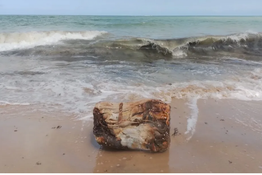 ‘Caixa misteriosa’ é encontrada por banhistas na praia de Maria Farinha, em Pernambuco
