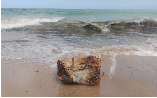 ‘Caixa misteriosa’ é encontrada por banhistas na praia de Maria Farinha, em Pernambuco