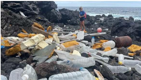 Remota ilha no Atlântico Sul recebe lixo do mundo todo pelo mar