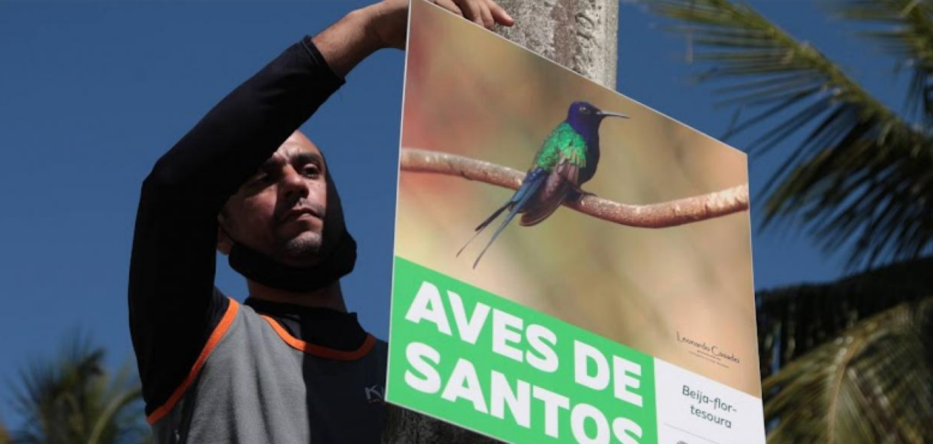 Santos instala 50 novas placas mostrando as espécies de aves que vivem na orla