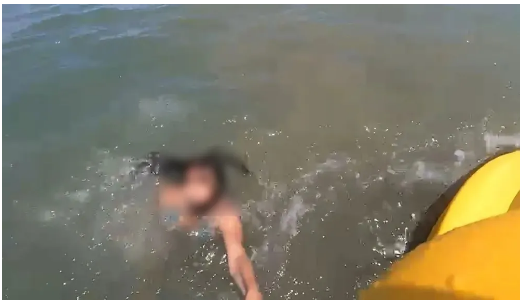 Câmera acoplada em guarda-vidas mostra turista sendo resgatada de afogamento no litoral de SP; veja vídeo
