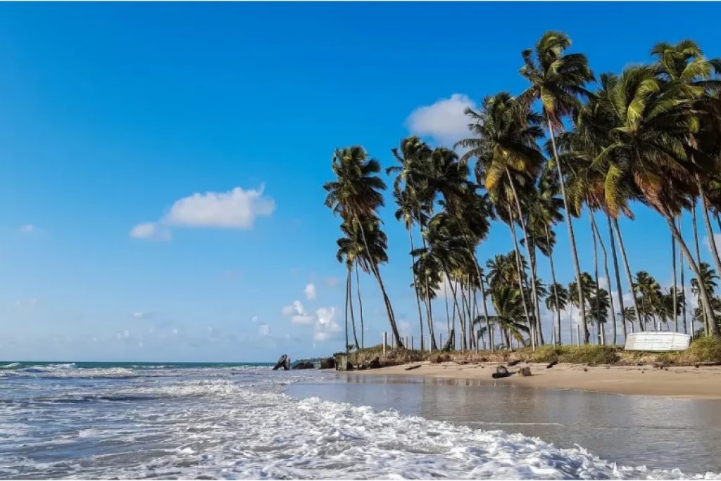 Praia dos Carneiros: Um paraíso para conhecer em Pernambuco