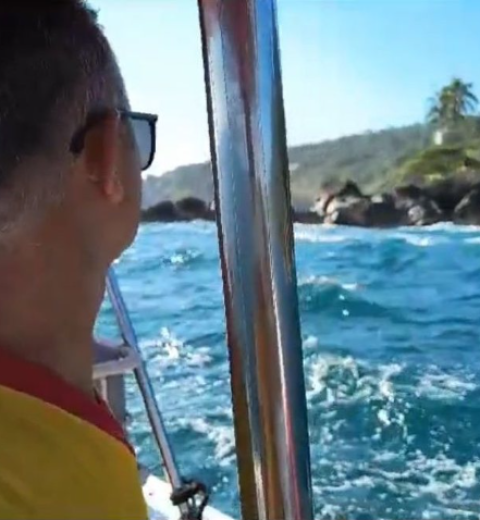 Praticantes de paddle board encontram peixe-lua que pode quebrar recorde; vídeo