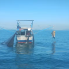 Governo alerta banhistas e pescadores sobre perigos do peixe-leão