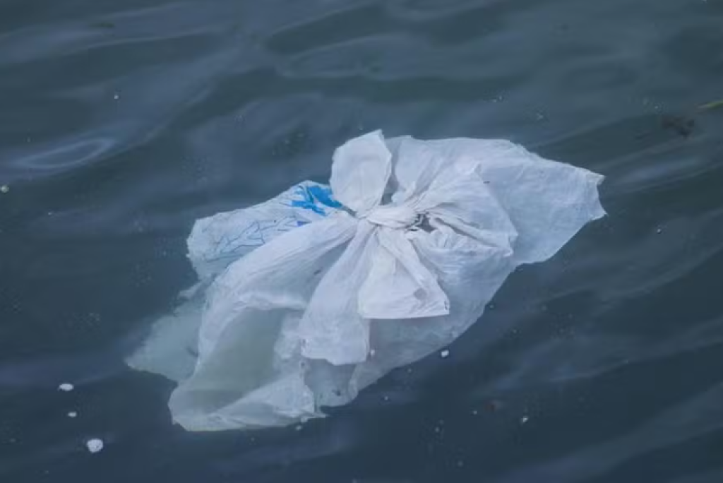 Fundo do oceano tornou-se um “reservatório” de poluição plástica, alerta estudo pioneiro