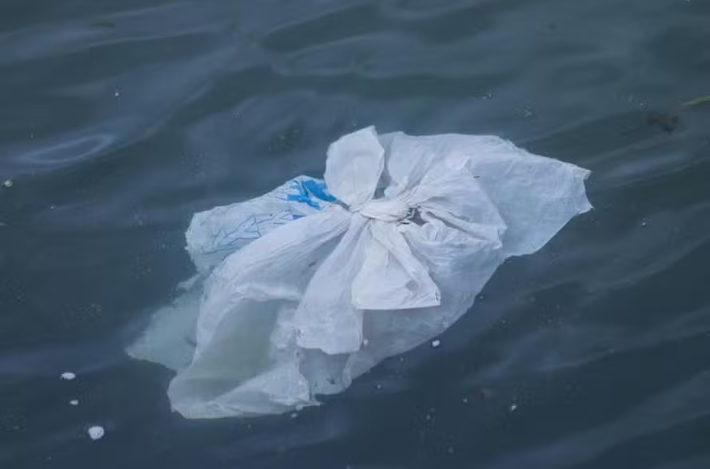 Fundo do oceano tornou-se um “reservatório” de poluição plástica, alerta estudo pioneiro