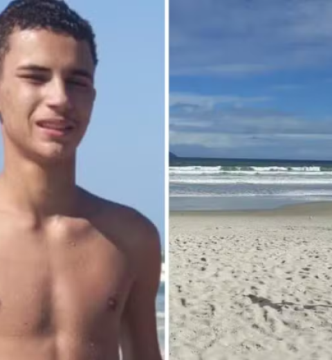 Golfinho é encontrado morto encalhado em praia de Ilhabela