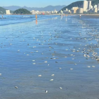 Com gostinho de praia: Confinamento faz crescer busca por esportes em quadras de areia