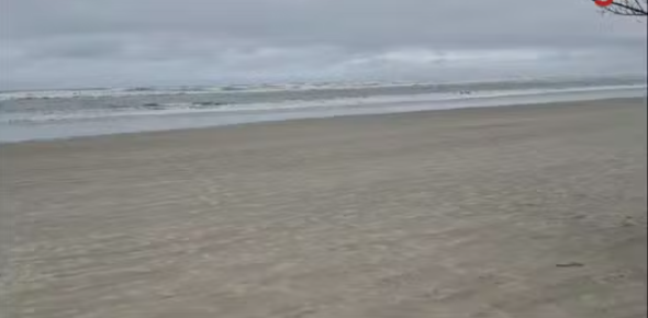 Avanço do mar destrói restinga e preocupa moradores de Barra do Una, SP