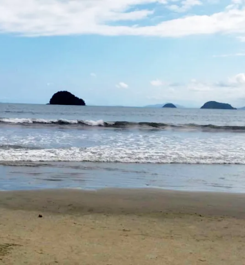 Corpo é encontrado entre as praias Itamambuca e Vermelha, em Ubatuba, SP