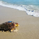 Praia pública do Catar tem clima família, muita roupa e nada de cerveja